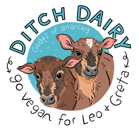 Ditch Dairy
